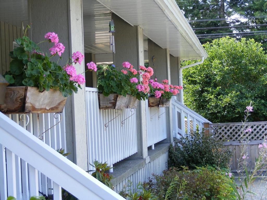 Hummingbird Guesthouse Port Alberni Ngoại thất bức ảnh